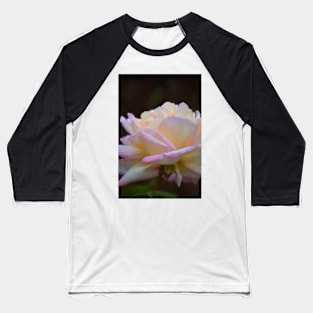 Rose 323 Baseball T-Shirt